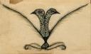 Feather Birds